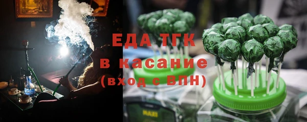 индика Вяземский