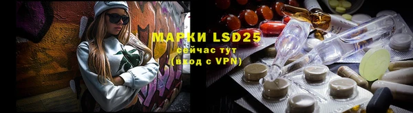 ГАЛЛЮЦИНОГЕННЫЕ ГРИБЫ Волосово