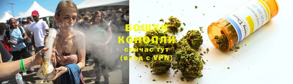 индика Вяземский
