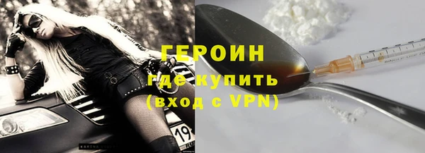 индика Вяземский