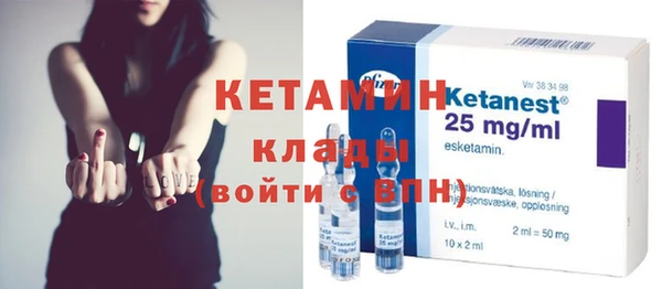 индика Вяземский