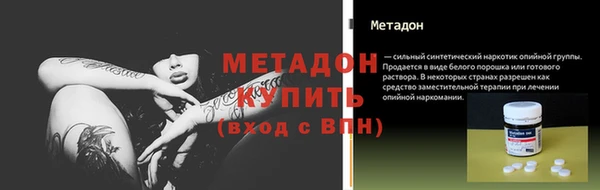 индика Вяземский