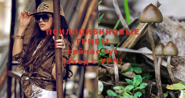 ешки Пестово