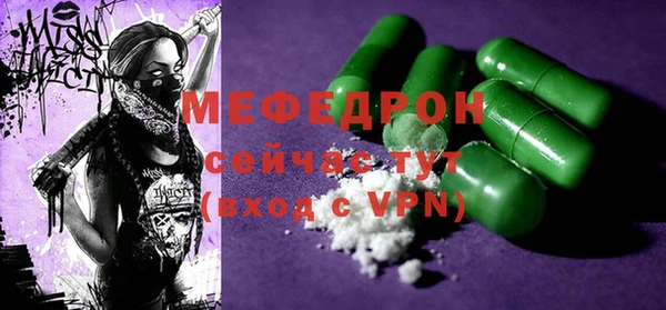 индика Вяземский