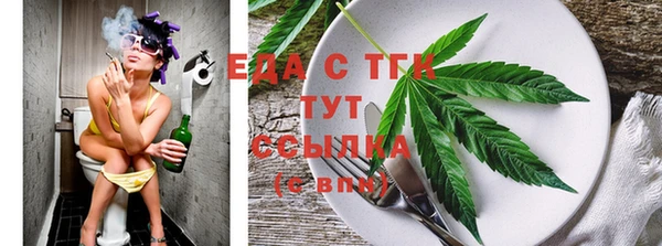 индика Вяземский