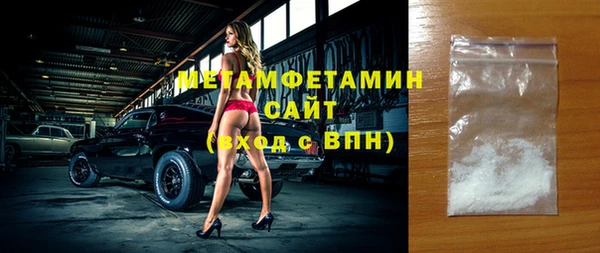 индика Вяземский