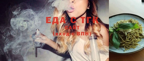 индика Вяземский