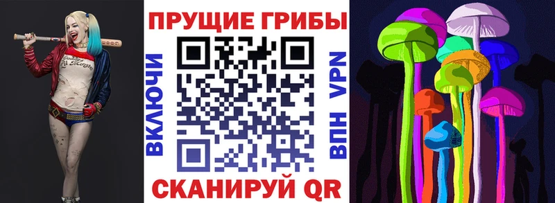 наркошоп  Закаменск  Галлюциногенные грибы мухоморы 