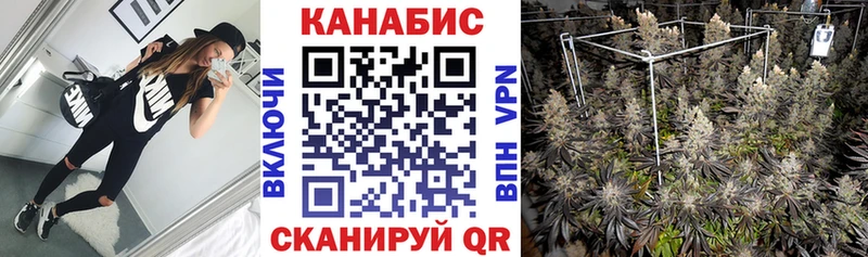 магазин    Закаменск  Марихуана White Widow 